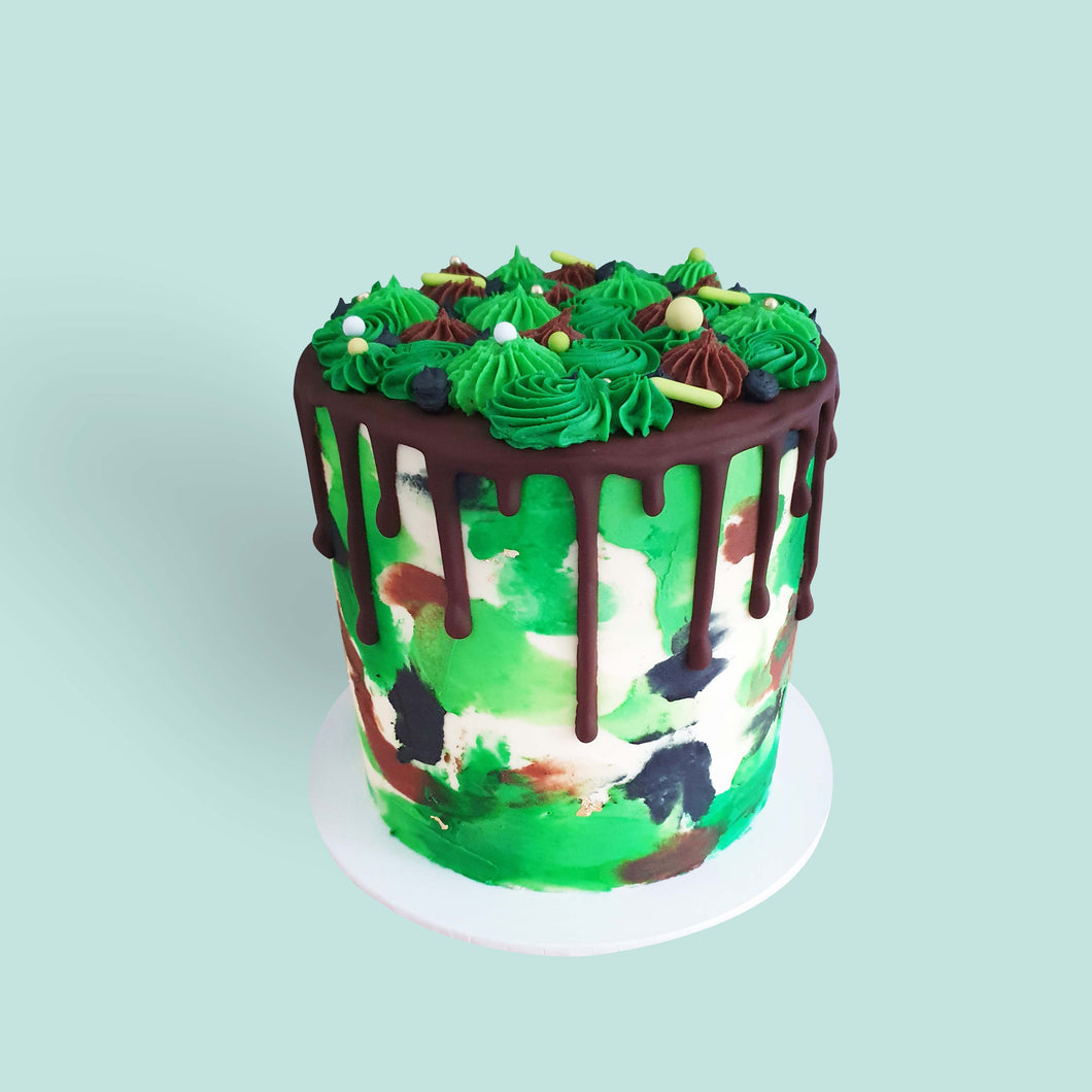 Can You See This Cake?
