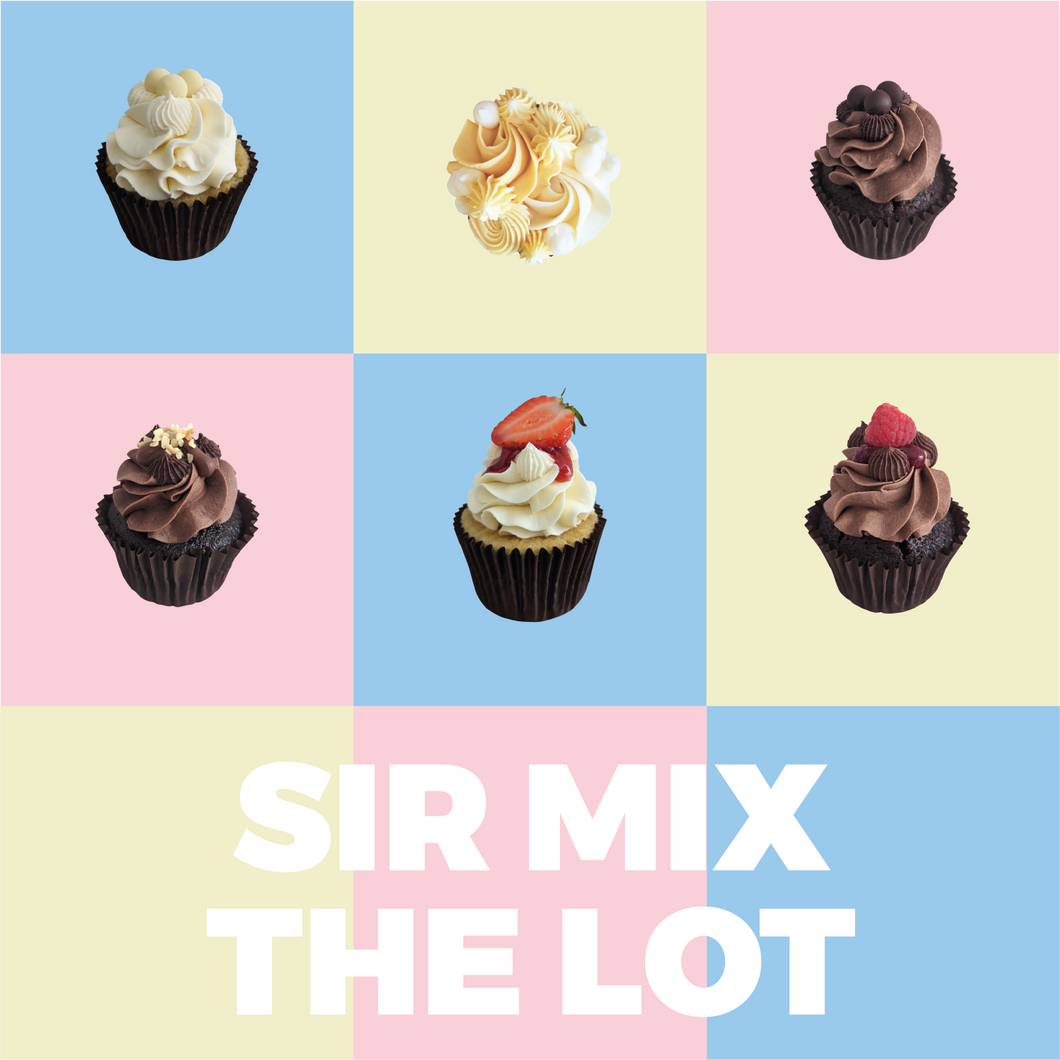 Sir Mix the Lot (6)